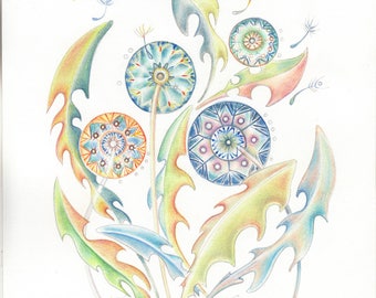 11" x 8" . NOT A PRINT ..Original Painting Dandelions... No.2 OOaK Handpainted ..Watercolour..Succulent