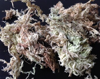 Sphagnum moss, dehydrated, dried, terrarium, kokedama, substrate, soil, mulch, natural