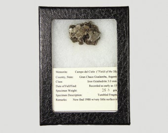 Meteorite from Campo del Cielo, Argentina
