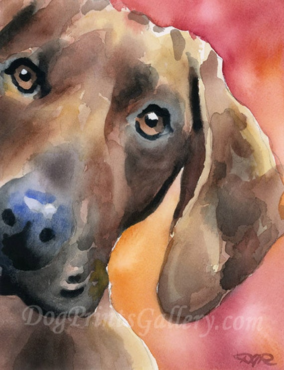Download Redbone Coonhound Art Print Signed by Artist DJ Rogers
