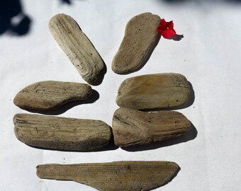 Driftwood Supply 7 pieces.Driftwood Sculpture, Natural Beach Decor, Craft Supply, Bulk Driftwood for Arts, Lake House Decor,Display piece
