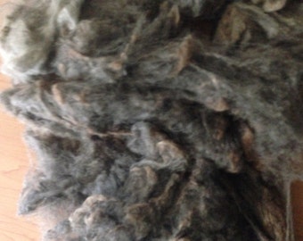 Gray Romeldale x Teeswater Fleece Raw Wool Spinning Fiber Felting Fiber