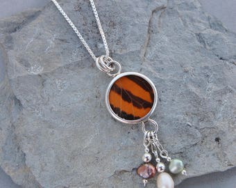 Real Monarch Butterfly Wing Sterling Silver Necklace Pendant Genuine Pearls Rainbow 24" Box Chain