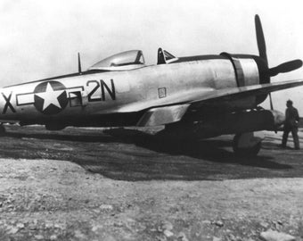 Poster, Many Sizes Available; 81St Fighter Squadron P 47 Thunderbolt