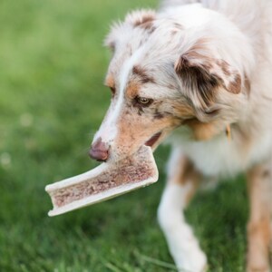 Split elk antler dog chew-free shipping! NEW SIZES!