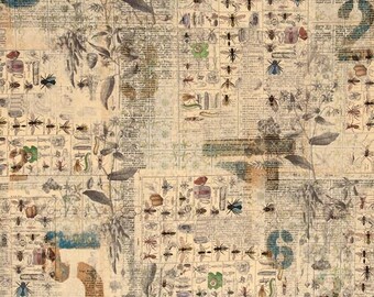Entomology by Tim Holtz-Neutral "Electric Elements"- One Yard of Fabric. Vintage, retro fabric, newsprint, insect fabric. Bug fabric.