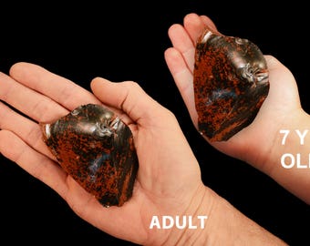 Mahogany Obsidian 3" 5-7 Oz Large Raw Rocks and Minerals Root Chakra Healing Crystals and Stones Raw Natural Mineral Specimen Reiki