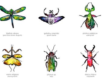 Watercolour Galaxy Insects