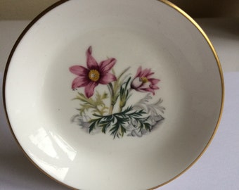 Royal Worcester Bone China Pin Dish