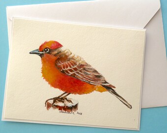 Original watercolor, Note Card/Gift Card, Blank Inside, Vermilion Flycatcher - 6"x4.5"