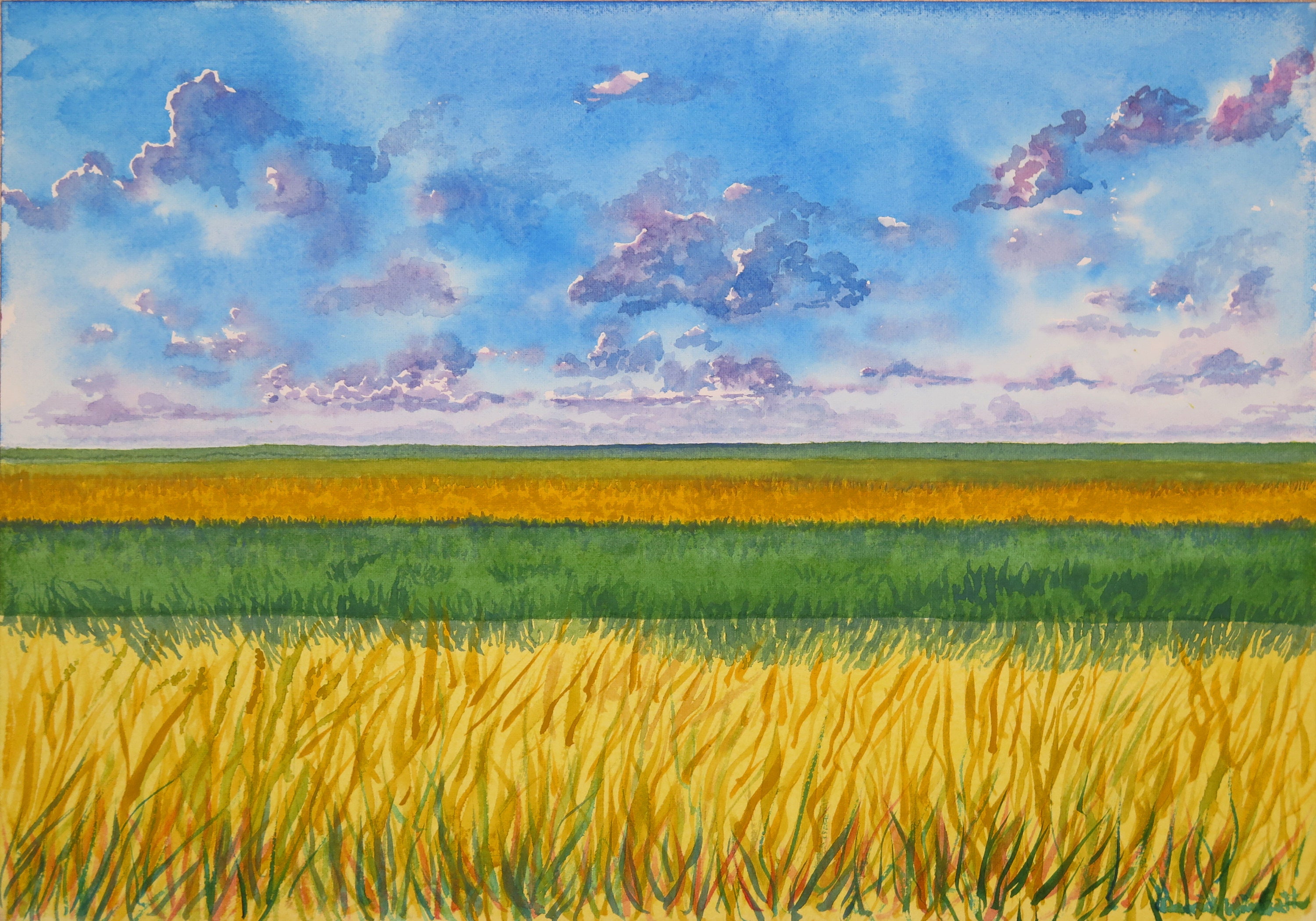 Prairie Watercolor Painting Of Tall Grass Fields And Distant