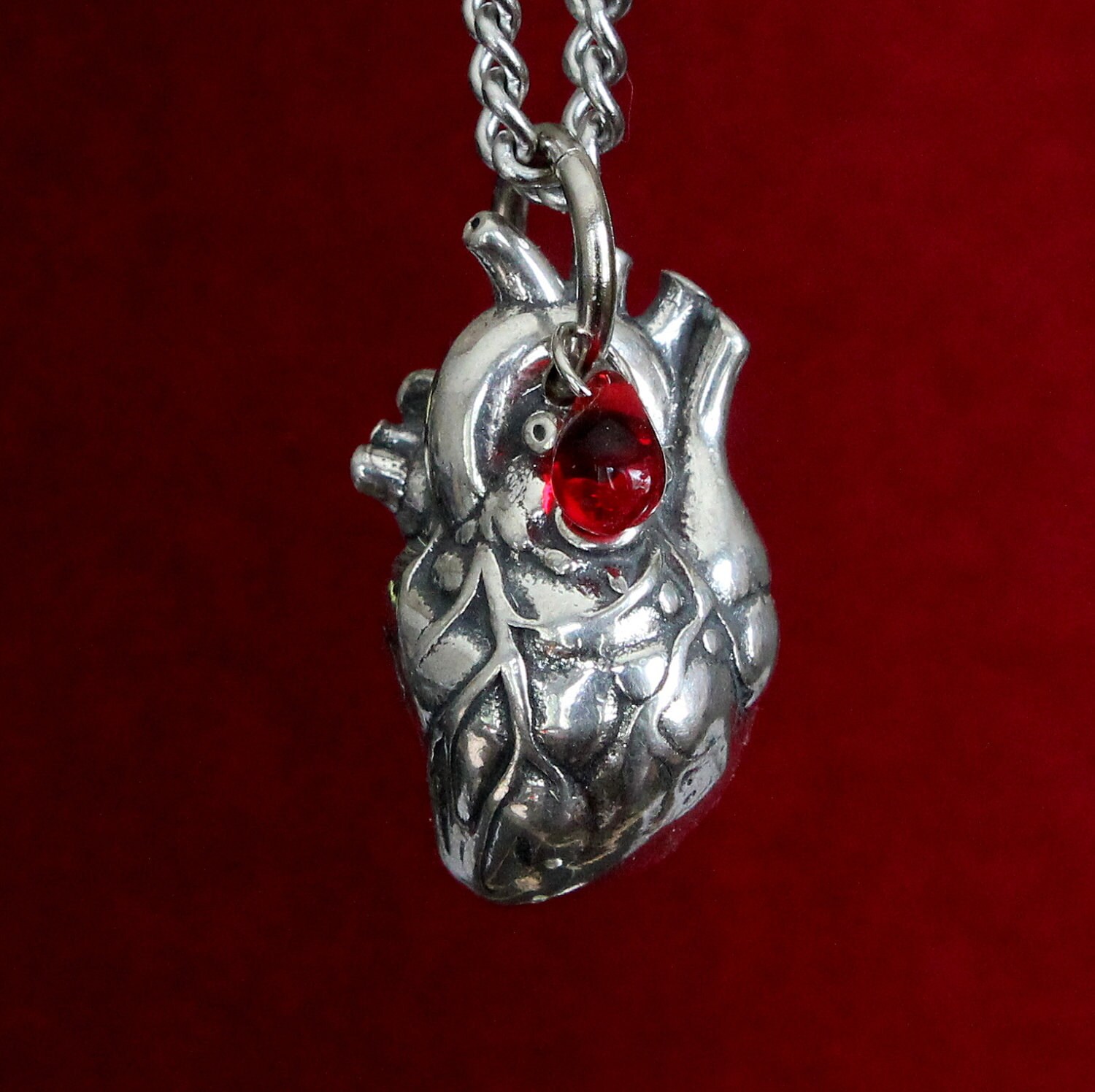 Anatomical Human Heart Pendant Necklace in Solid Sterling