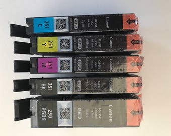 Canon CLI-251/PGI-250 XL's Series With Chip (5 pack) High Yield set up inks.