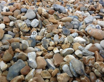 Brighton Beach