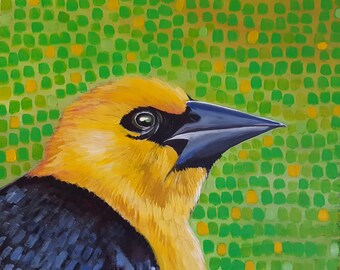 Yellow Headed Black Bird- Matted Print