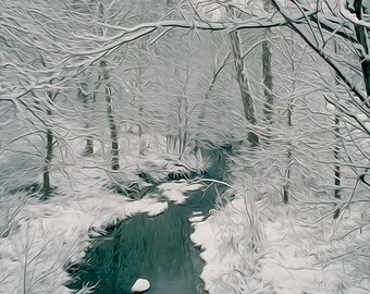 Winter Stream