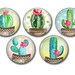 Lot 5 resin craft, round cabochons, 20 or 25 mm Cactus 02 choice