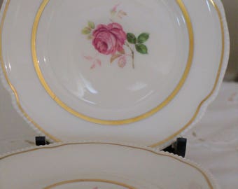 6 Castleton China Bread /Dessert Plate / Dolly Madison / 6 inches