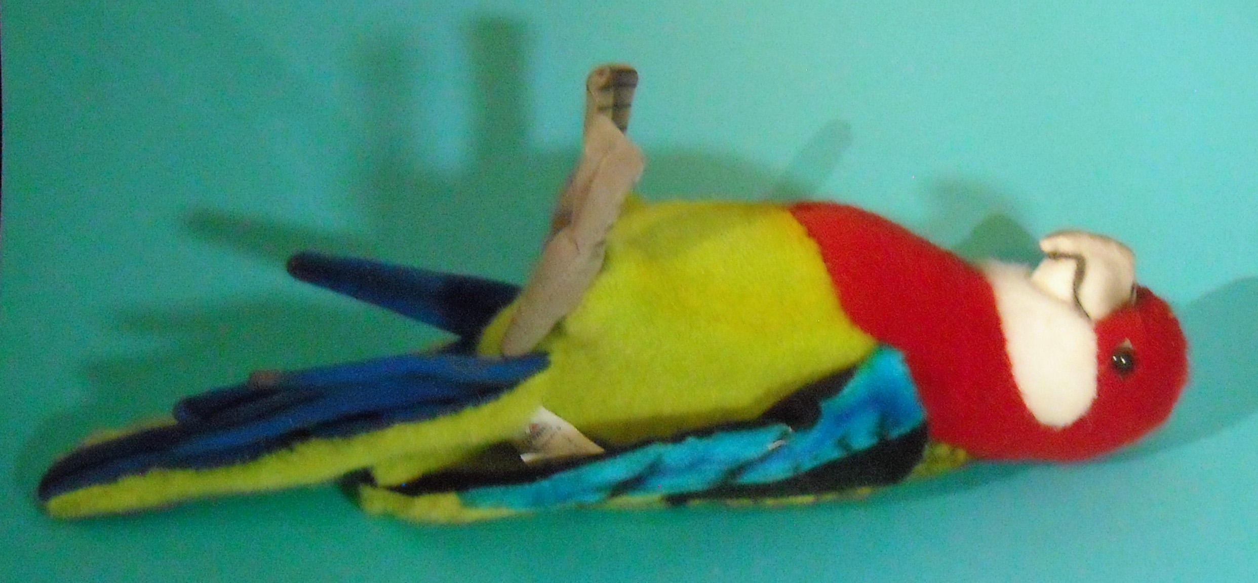 gallery photo