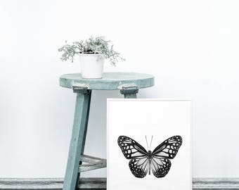 Butterfly printable - Monochrome decor - Minimalist home - Black and white wall art - Butterflies printable - Monochrome art prints