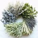 Little Cutie Wreath | Dried Flower Wreath | Blue Wreath | Dried Wreath