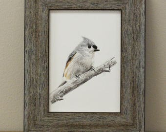 Watercolor Bird Art Print - Tufted Titmouse