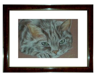 Tabby cat portrait: soft look