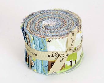 Riley Blake Designs, Rolie Polie - Little Flyers by Kelly Panacci