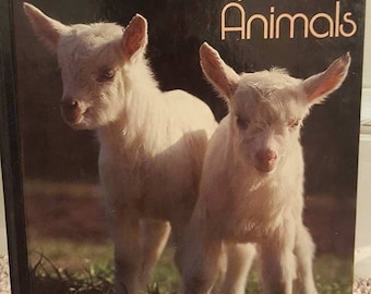 Baby Farm Animals book- Vintage- National Geographic Society