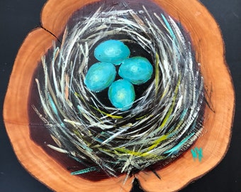 Blue bird egg nest on cedar