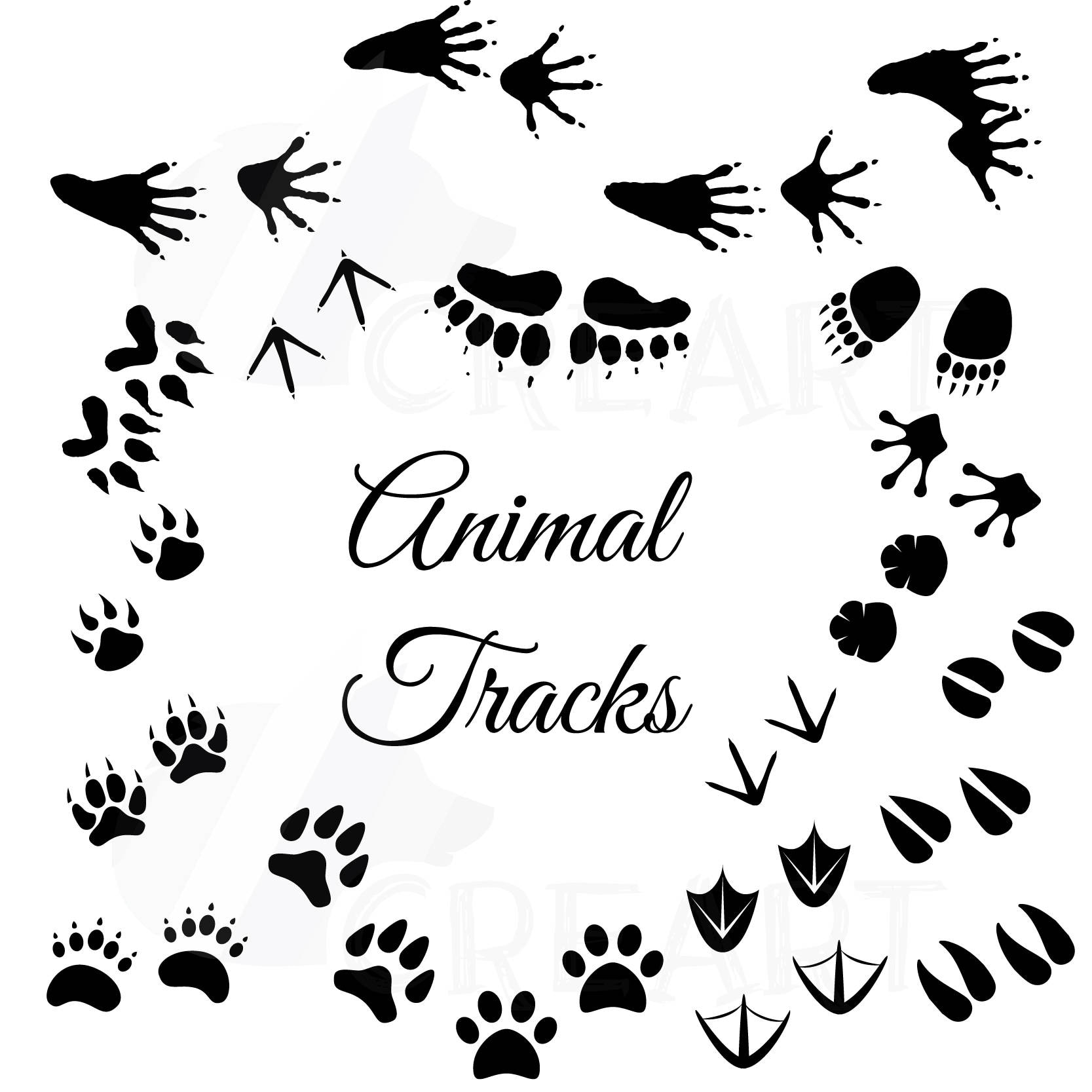 Animal Tracks Woodland Animals footprints Clipart pack