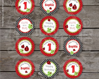 LADYBUG PARTY CIRCLES, Ladybug Cake Toppers, Ladybug Decoration, Ladybug Party Printables - Download Now, Edit Name in Adobe Reader