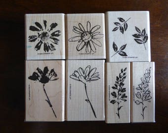 Petal Prints Stamp Set by Stampin Up (Retired)