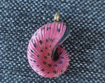 Pink Nautilus shell pendant charm 2.5 cm