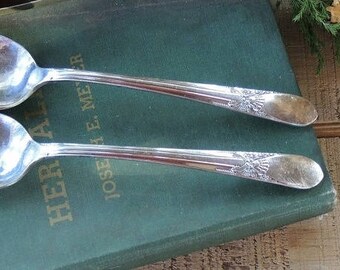 Vintage Rogers Silver Plated Serving Spoon, Tea Party, Replacement Flatware Listing is for One Spoon ONLY