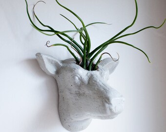 Deer Head Wall Planter, Animal Head, Wall Planter, Concrete, Cement, Air Plant, Succulent