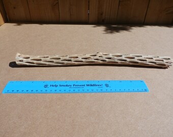 16 inch Long, LARGE Cholla Cactus Skeleton Branch Wood, Desert Driftwood, Aquarium/Terrarium Supply, Centerpiece, Display, Textile Art Base