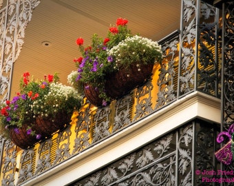 New Orleans Photography, French Quarter Balcony, Red, White and Purple Flowers, NOLA Photograph, Cast Iron, Architecture, Royal Street
