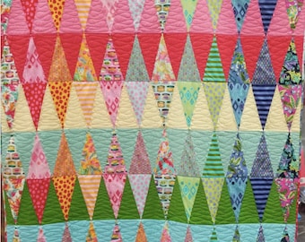 Tula Pink- Tabby Road Quilt Kit
