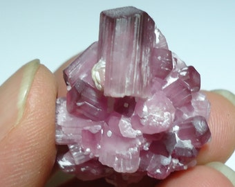 TOURMALINE 13.7 Gram Rubellite Pink Bicolor Terminated Crystal Cluster Jewelry (Old Stock) Wire Wrap Supplies