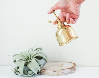 Brass Plant Mister
