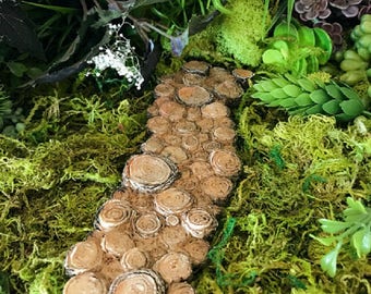 Miniature Tree Stump Path