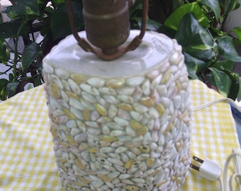 Vintage Coquina Shell Lamp