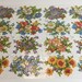 Vintage PZB German Die Cut Lithograph/Embossed Floral Decoupage Sheet #1368