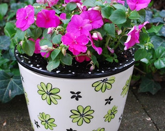 Large Self-watering African Violet Pot