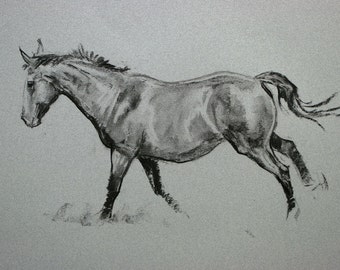 SALE Original horse art equine art energy and movement equine horse charcoal and chalk movement art drawing 'Canter II' by H Irvine
