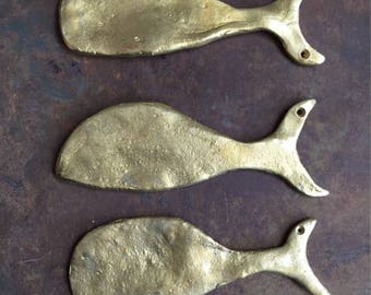Fish Whale Sperm Whale