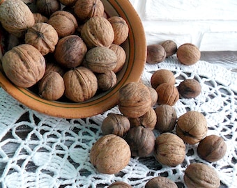 Small walnuts for crafts Whole walnut Rustic home decor Natural materials Vase filler Natural decor Eco home decor Rustic style Fairy house