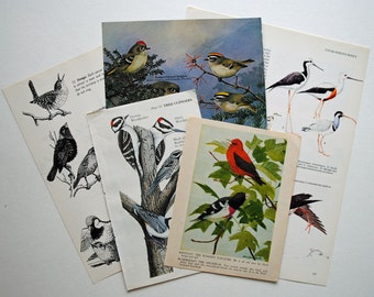 Five and Dime Vintage Paper Pack