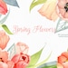 Watercolor flower clipart, Tulip clipart, Spring clipart, coral pink flower, boho flowers clipart, hand painted, floral clip art, diy invite